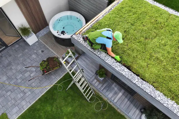 Benefits of Green Roofs for Urban Environments