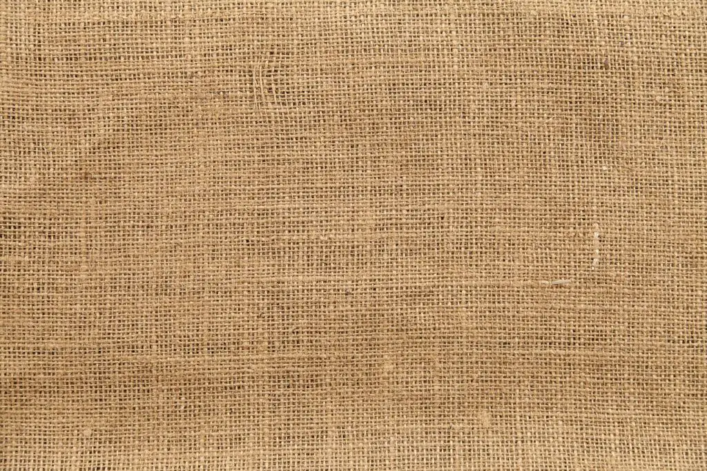 What is Jute? And Is It Sustainable?